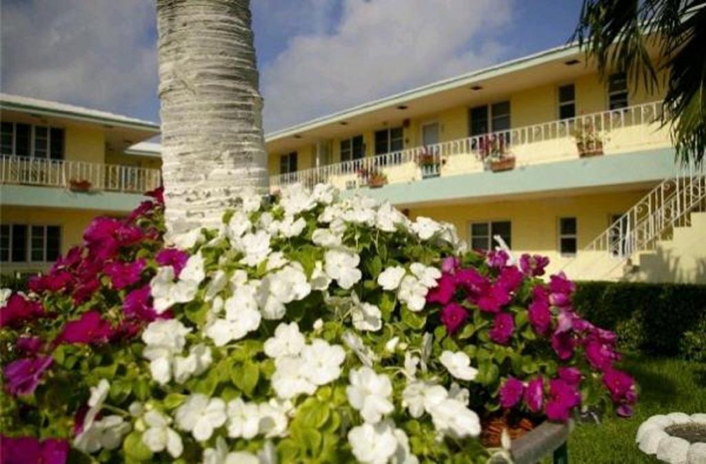 Sorrento Villas Miami Beach Exterior photo